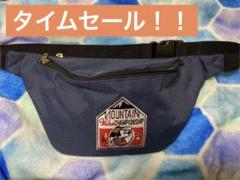 2022年最新】ディズニー/ボディバッグ/ウェストバッグ(レディース)の ...