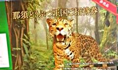 那須どうぶつ王国 チケット