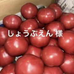 しょうぶえん様 麗夏トマト5㌔ 佃煮5クルミ味噌1 しょうぶえん様 麗夏トマト5㌔ 佃煮5クルミ味噌1（トマトの