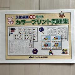 入試必勝合格セット　カラープリント問題集のサムネイル