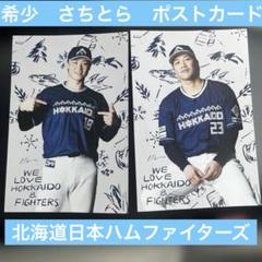山崎福也 伏見寅威 さちとら ポストカード WE LOVE HOKKAIDO