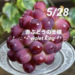 ④*:ஐ赤ぶどうの王様！濃厚な甘さ*:ஐぶどう・苗木