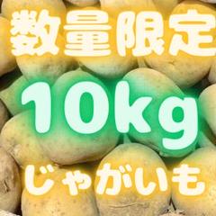 激安！　早い者勝ち　じゃがいも　61 じゃがいも - Amazon.co.jp