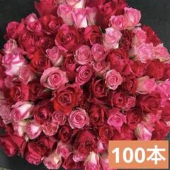 他の方発送×【薔薇】　肉質画 他の方発送×【薔薇】 肉質画