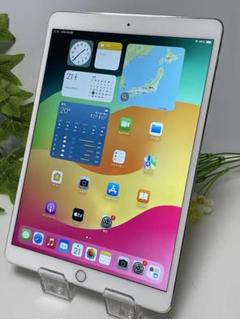 iPad pro 10.5インチ MPHH2J/A 256GB 電源ボタン難あり iPad pro 10.5インチ MPHH2J/A 256GB 電源ボタン難あり