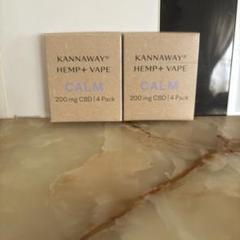 2025年最新】kannaway vapeの人気アイテム - メルカリ