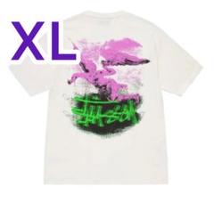 STUSSY FALLEN ANGEL PIGMENT DYED TEE 半袖 - メルカリ
