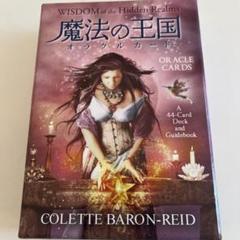 2025年最新】wisdom of the hidden realmsの人気アイテム - メルカリ