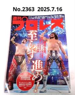 週刊プロレス1999〜2010年代まとめ売り 週刊プロレス1999〜2010年代まとめ売り-ショッピング日本