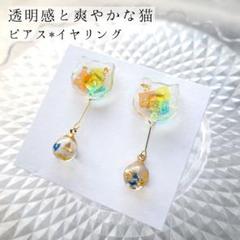 透明感と爽やかな猫 ✱ ピアス ✱