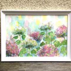 光とアナベル ピンクミックス 透明水彩画 額入り