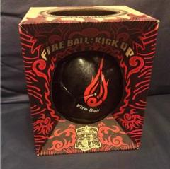 [レコード] FIRE BALL - BOOK OF LIFE～炎の章～ 2LP BOOK OF LIFE～炎の章～ / FIRE BALL【2LP】 | 噂のレゲエ倉庫