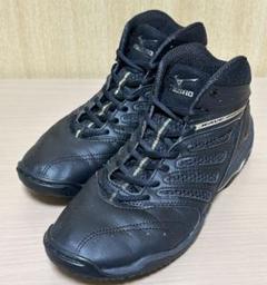 m84550980190_1.jpg?1725668959