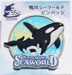 鴨川シーワールド ピンバッジ レア セット 激レア！☆鴨川シーワールド 開園40周年 ピンバッチ 非売品