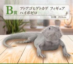 【新品】爬虫類＆両生類　一番くじ　フトアゴヒゲトカゲ フィギュア ハイポゼロ
