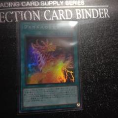 遊戯王　ヴェイドスの目覚め　スーパーレア　ワールドプレミアムパック2024のサムネイル
