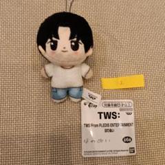 TWS ミニペンミ ぬいぐるみ ヨンジェ サノク Amazon.co.jp: TWS ミニペンミ ぬいぐるみ ヨンジェ サノク