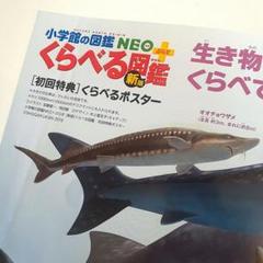 初回特典ポスター付き【新版】小学館の図鑑　NEO　ぷらす　くらべる図鑑　新版