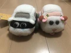 PUIPUIモルカー びゅんびゅんモルカー vol.2 2種セット