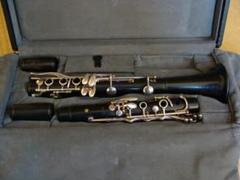 m84605748982_1.jpg?1684123452
