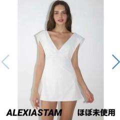 ALEXIA STAM Luna Blackcurrant アリシアスタン　ルナ 注目の ALEXIA STAM Luna Blackcurrant Lサイズ 水着・ラッシュ
