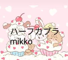 ハーフカプラ