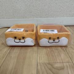 可愛い嘘のカワウソ　ぬんぬんくじ　コンプリートセット（B〜E賞） 可愛い嘘のカワウソ』全長約55cmのビッグぬいぐるみ登場