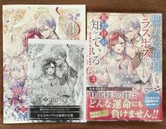 聖人公爵様がラスボスだということを私だけが知っている 3 ～転生悪女は破滅回避…
