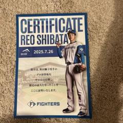 ファイターズ柴田獅子プロ初登板証明書　柴田獅子　初観戦記念証明書