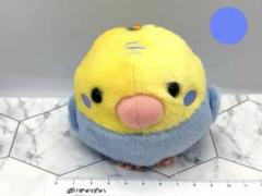 ことり隊　ぬいぐるみ マスコット　セキセイ イエローブルー