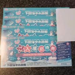 下田海中水族館 招待券4枚