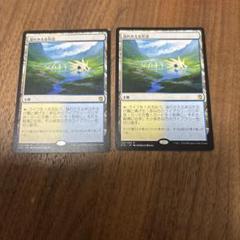 mtg 溢れかえる岸辺 日本語 2枚 - メルカリ