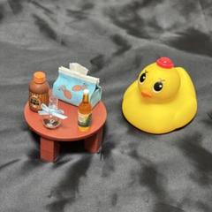 美しい彼 アヒル隊長