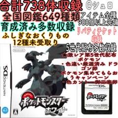 ポケットモンスターホワイト