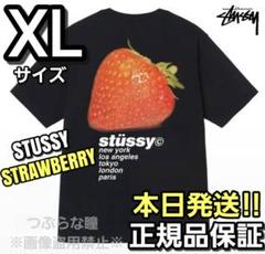 STUSSY ストロベリー Tシャツ XL