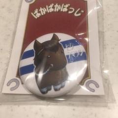 ヒシアマゾン ぱかぱかばっじ 競馬 川崎記念 川崎競馬 来場ポイント