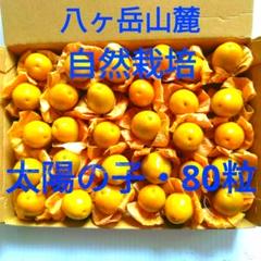 2025年最新】食用ほおずき 太陽の子の人気アイテム - メルカリ