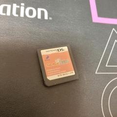 ⭐️Nintendo DSソフト⭐️