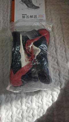 red line 44.5 mad rock