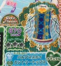 プリパラ ナチュラル PR パルプススカイカントリートップス
