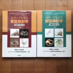 Amazon.co.jp: カラーアトラス獣医解剖学 増補改訂第2版 上巻