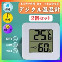 デジタル温湿度計 2個　室内 湿度計 正確 ミニ 湿度モニター 温度計 ベビー
