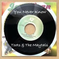 MAYTALS  他5枚セット レコード 2025年最新】Yahoo!オークション -toots & the maytals(レコード
