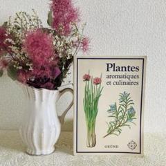 洋書　古書　フランス語の植物図鑑　香りの植物　食用　ハーブ　写実的なイラスト♡