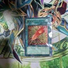 遊戯王 No.A9037 レリーフ 鳳凰神の羽根 7枚 遊戯王 鳳凰神の羽根 レリーフ - メルカリ