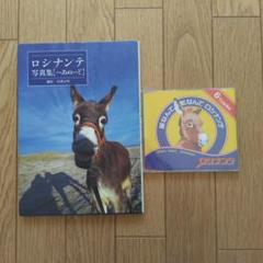 ロシナンテ/愛なんて 恋なんて ロシナンテ