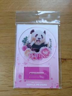 アドベンチャーワールド アクリルスタンド（セット） アドベンチャーワールドグッズ✨ 🐼🧡🐼🧡🐼🧡🐼 可愛い和歌山の