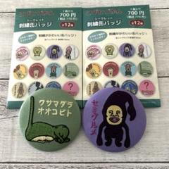 こびとづかん　イトーヨーカドー限定　ホログラム　缶バッジ　コンプリート こびとづかん公式📚🌿 on X: 