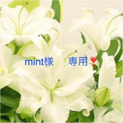 mint様 専用❣️
