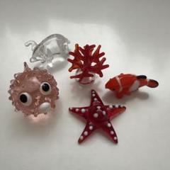 ガラス製海洋生物5個セット